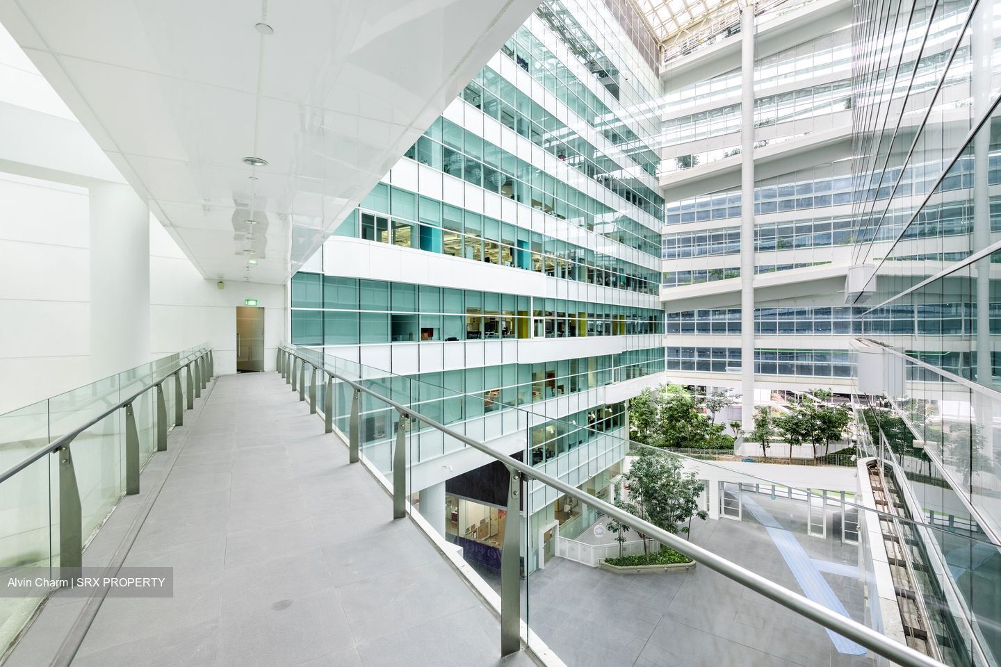 Solaris (D5), Office #440183991
